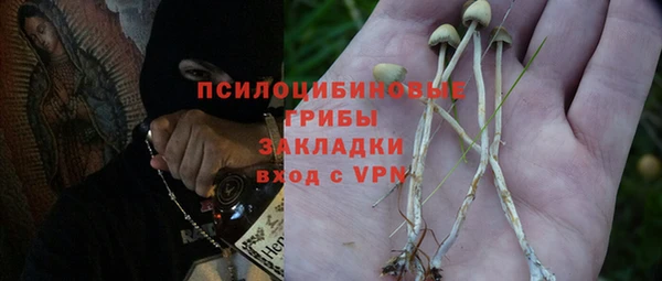 индика Армянск