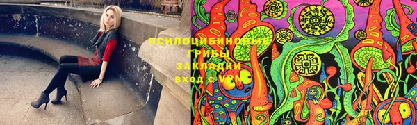 apvp Аркадак