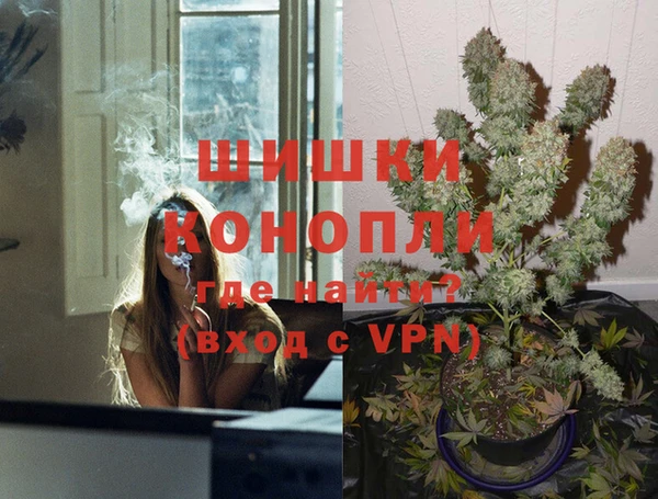 индика Армянск
