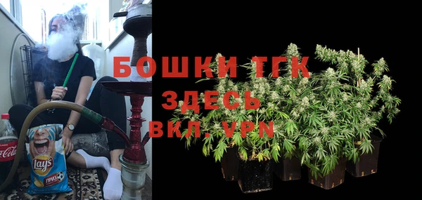индика Армянск