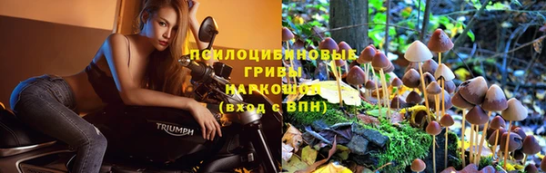 первитин Бикин