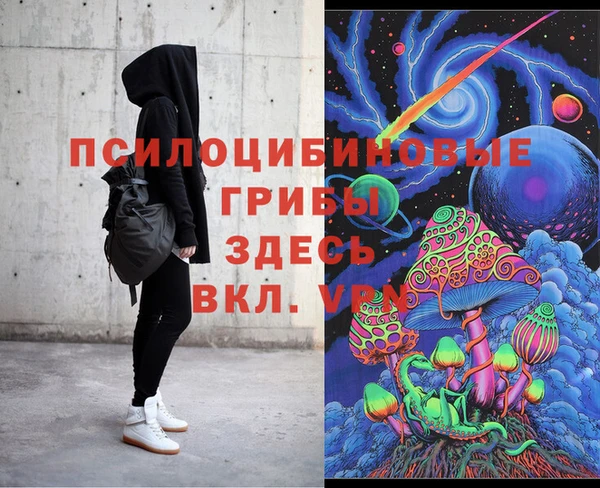 гидропоника Арсеньев